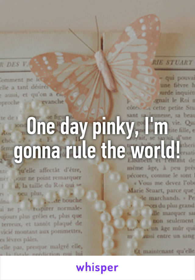 One day pinky, I'm gonna rule the world!