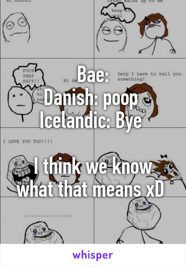 Bae:
Danish: poop 
Icelandic: Bye 

I think we know what that means xD 