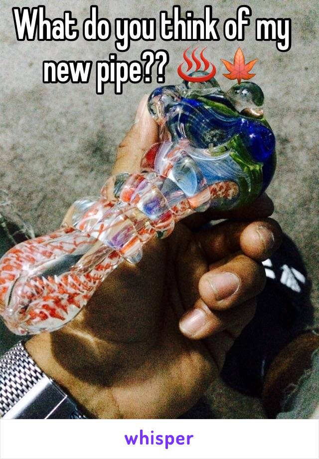 What do you think of my new pipe?? ♨️🍁 