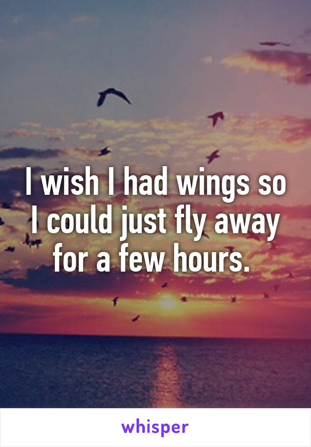 I wish I had wings so I could just fly away for a few hours. 