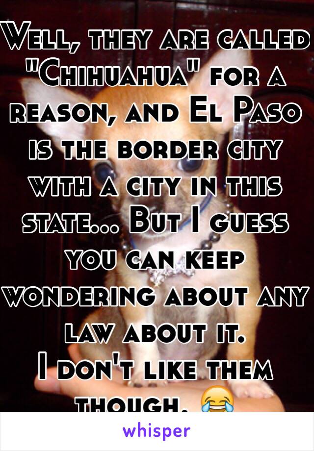 Well, they are called "Chihuahua" for a reason, and El Paso is the border city with a city in this state... But I guess you can keep wondering about any law about it.
I don't like them though. 😂