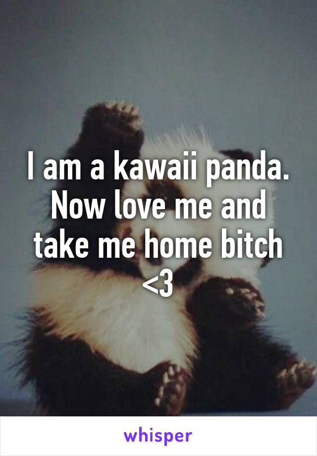 I am a kawaii panda.
Now love me and take me home bitch <3