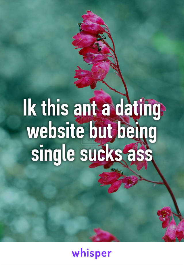 Ik this ant a dating website but being single sucks ass