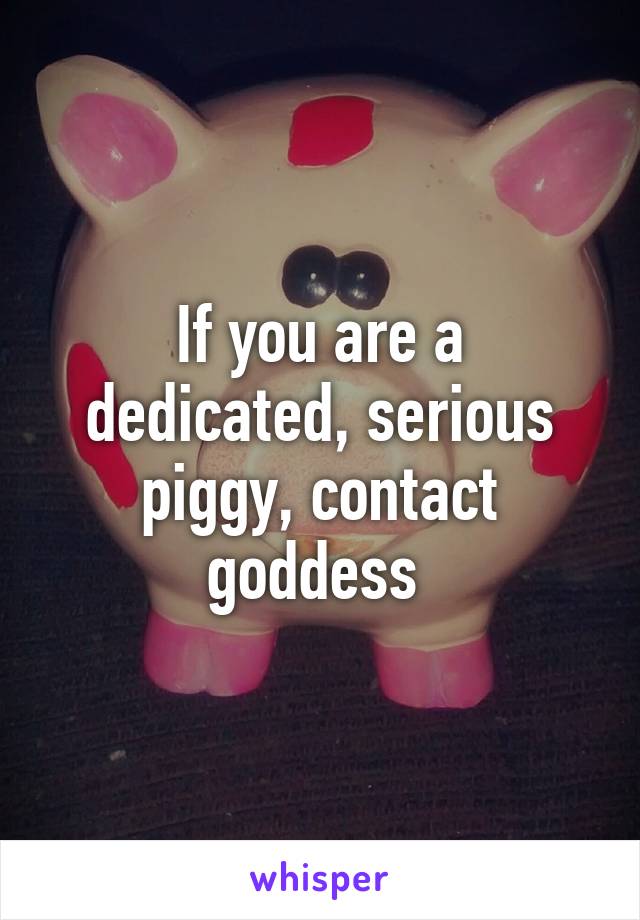 If you are a dedicated, serious piggy, contact goddess 