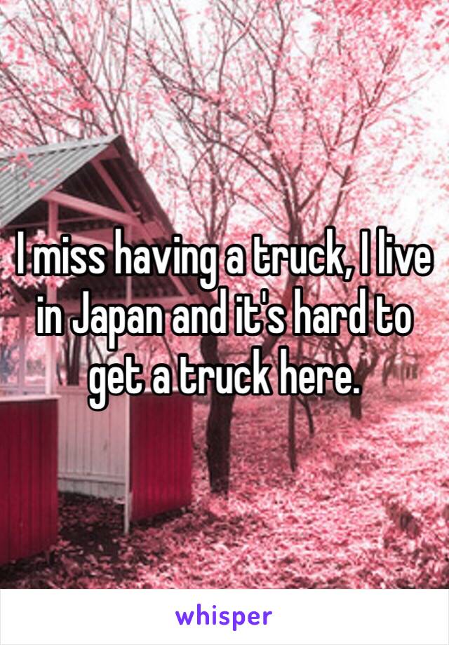 I miss having a truck, I live in Japan and it's hard to get a truck here. 