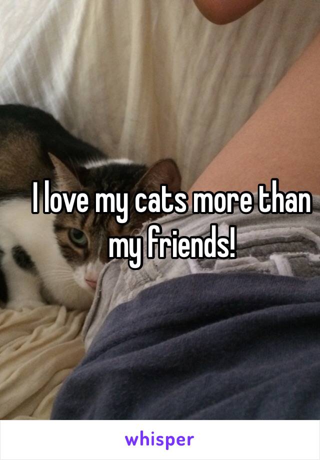 I love my cats more than my friends!