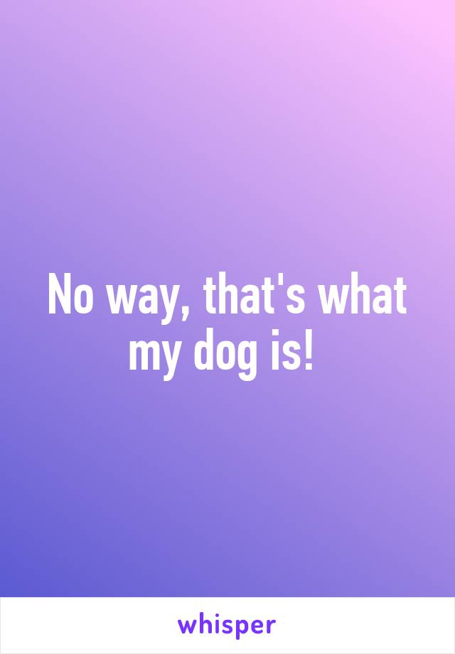 No way, that's what my dog is! 