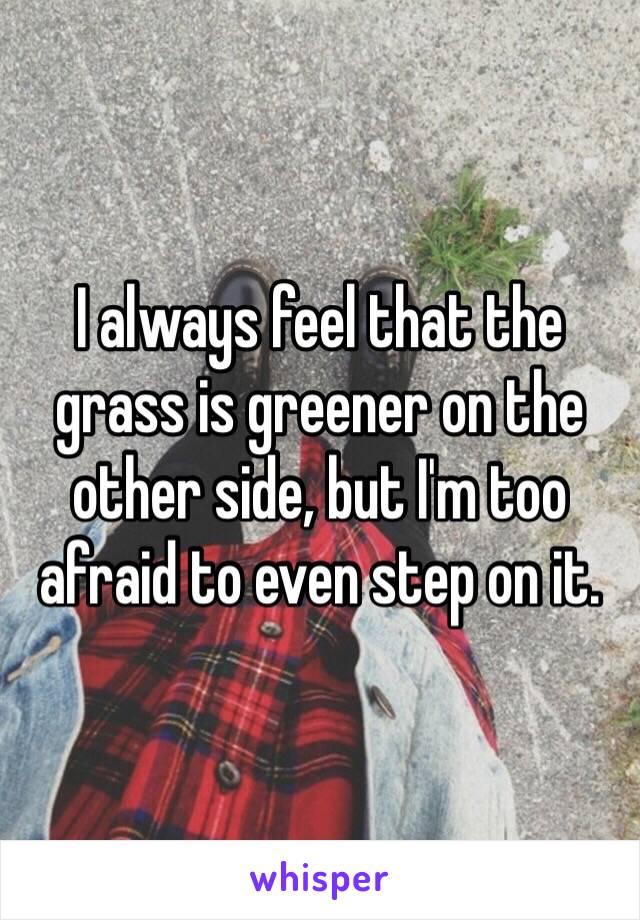 I always feel that the grass is greener on the other side, but I'm too afraid to even step on it. 