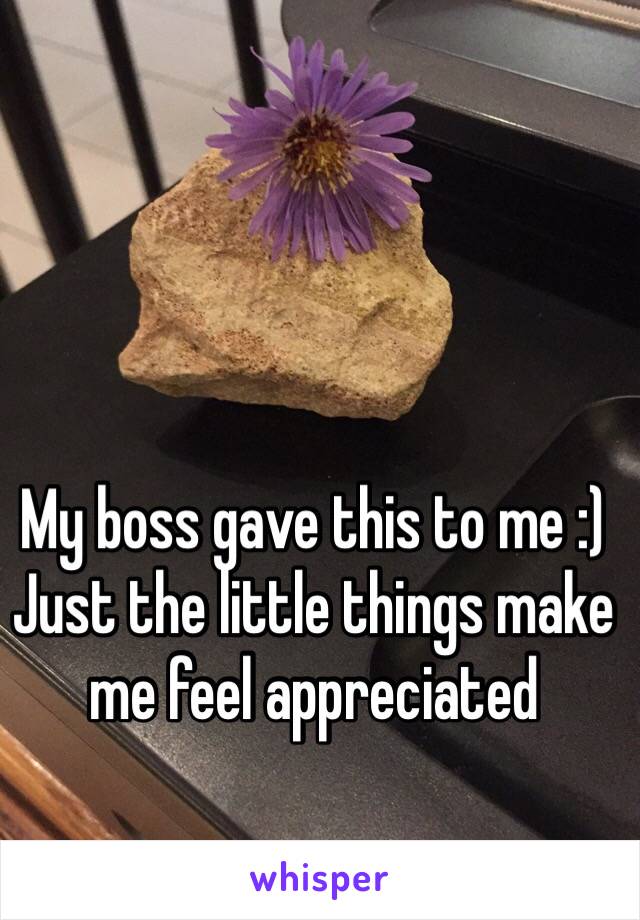 My boss gave this to me :) 
Just the little things make me feel appreciated 