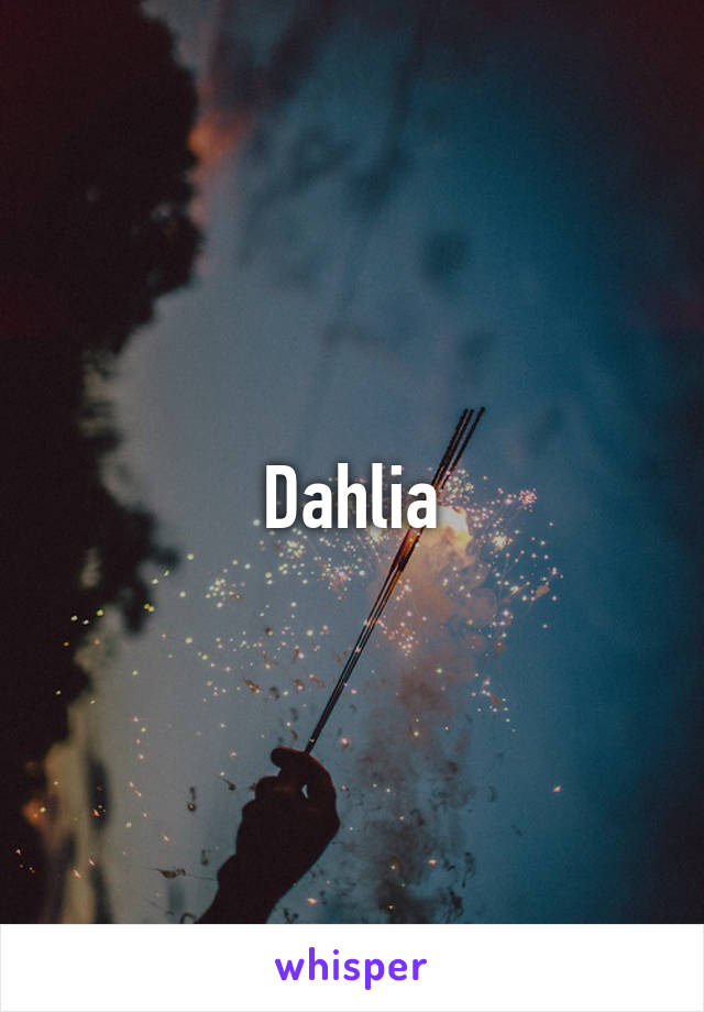 Dahlia