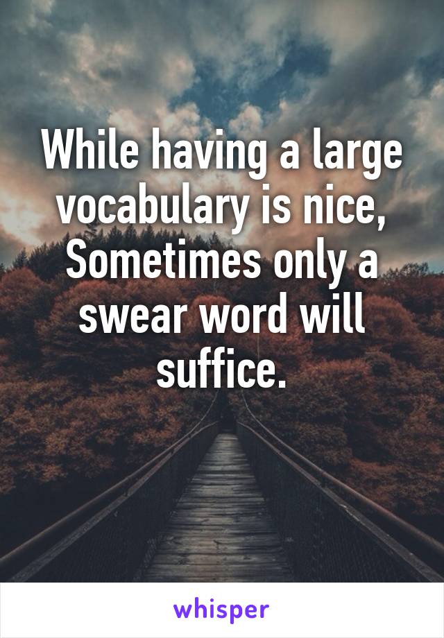 While having a large vocabulary is nice,
Sometimes only a swear word will suffice.

