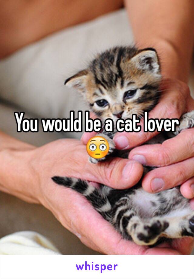 You would be a cat lover 😳