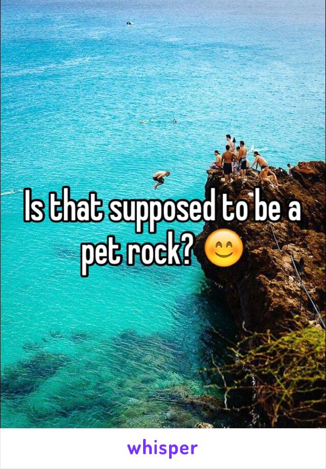 Is that supposed to be a pet rock? 😊