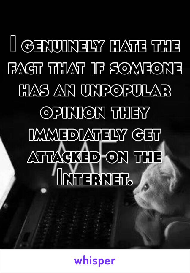 I genuinely hate the fact that if someone has an unpopular opinion they immediately get attacked on the Internet. 