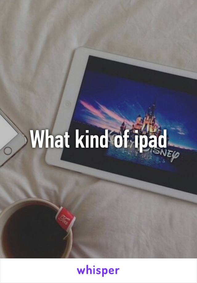 What kind of ipad