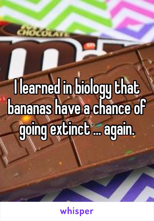 I learned in biology that bananas have a chance of going extinct ... again.