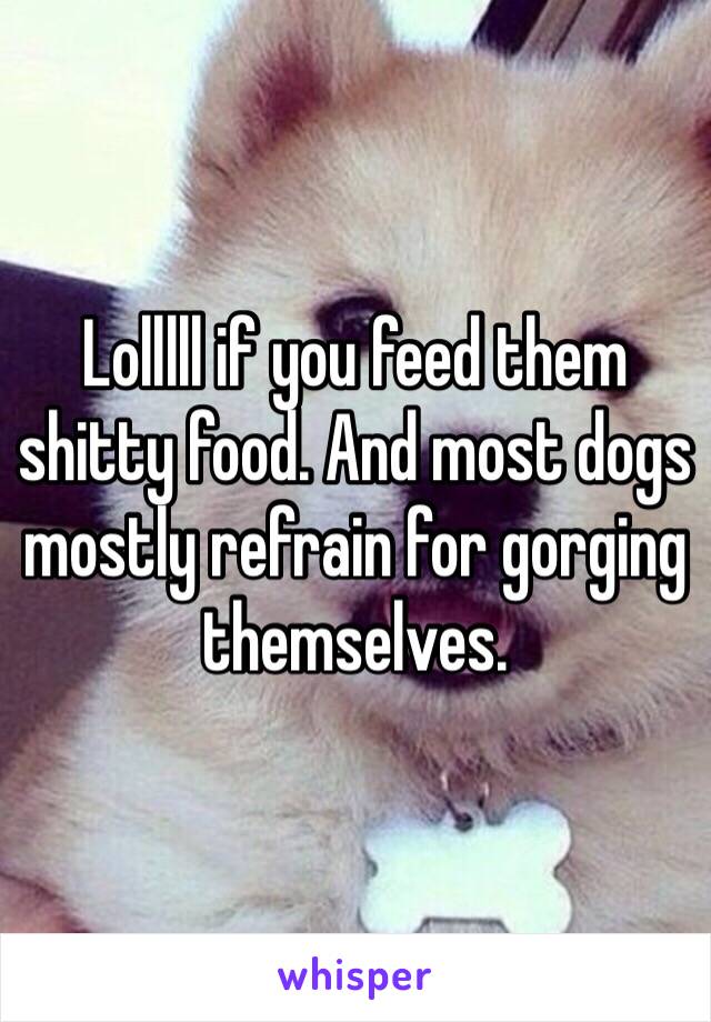 Lolllll if you feed them shitty food. And most dogs mostly refrain for gorging themselves. 