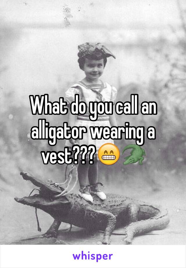 What do you call an alligator wearing a vest???😁🐊