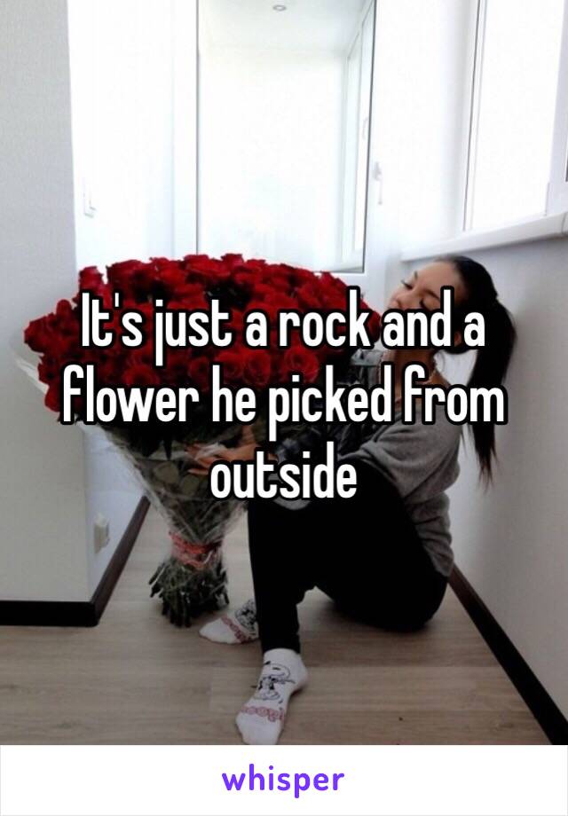 It's just a rock and a flower he picked from outside