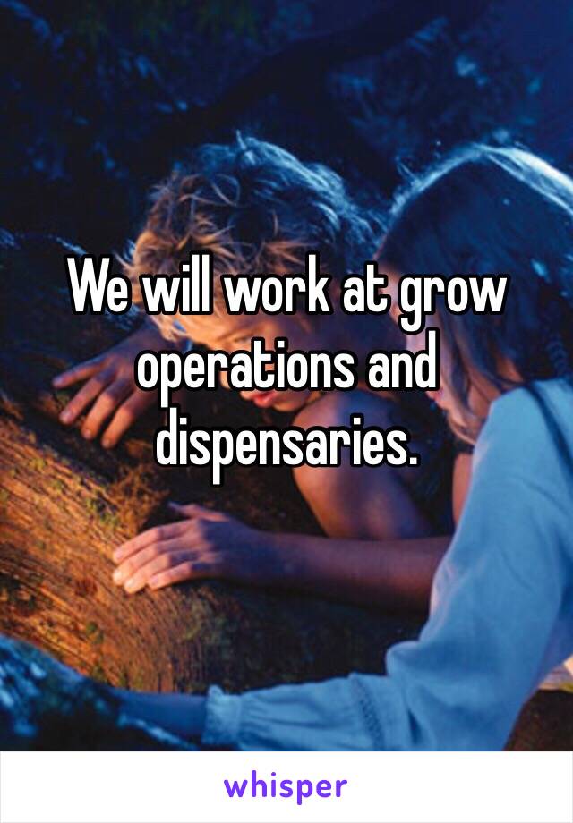 We will work at grow operations and dispensaries.
