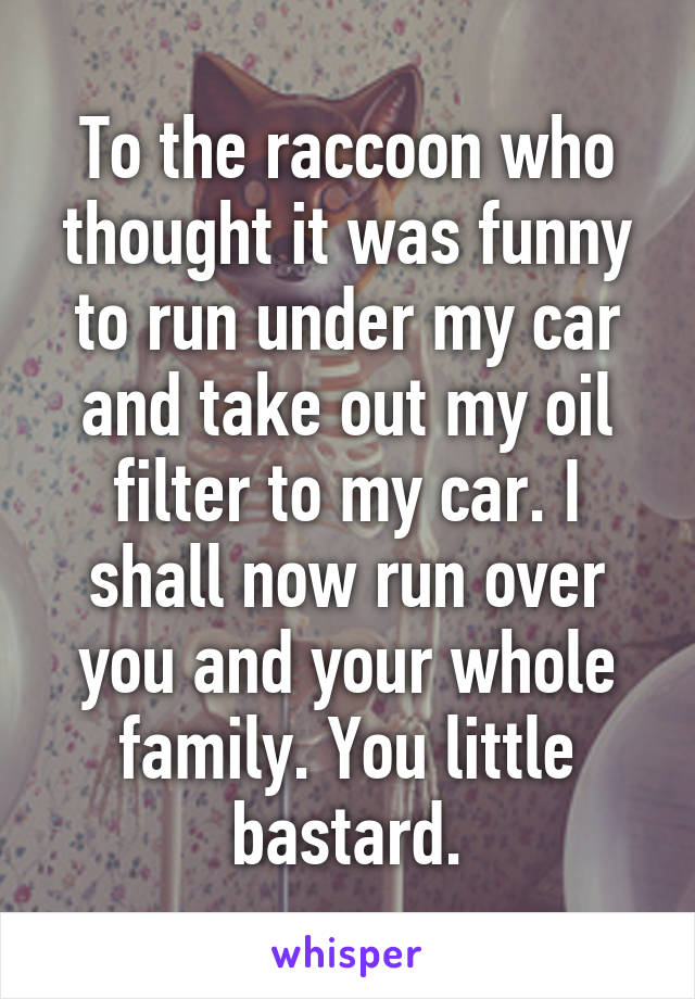 To the raccoon who thought it was funny to run under my car and take out my oil filter to my car. I shall now run over you and your whole family. You little bastard.