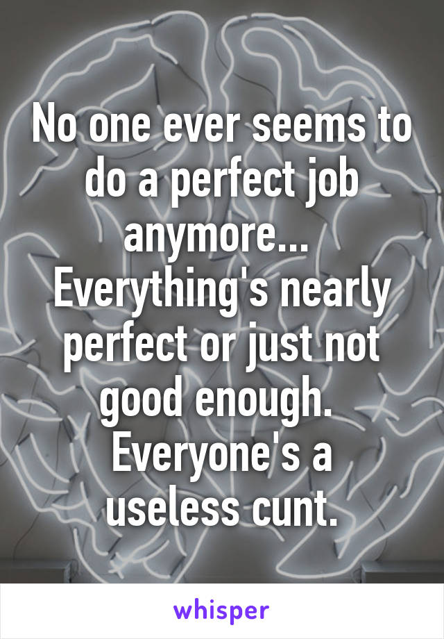 No one ever seems to do a perfect job anymore... 
Everything's nearly perfect or just not good enough. 
Everyone's a useless cunt.