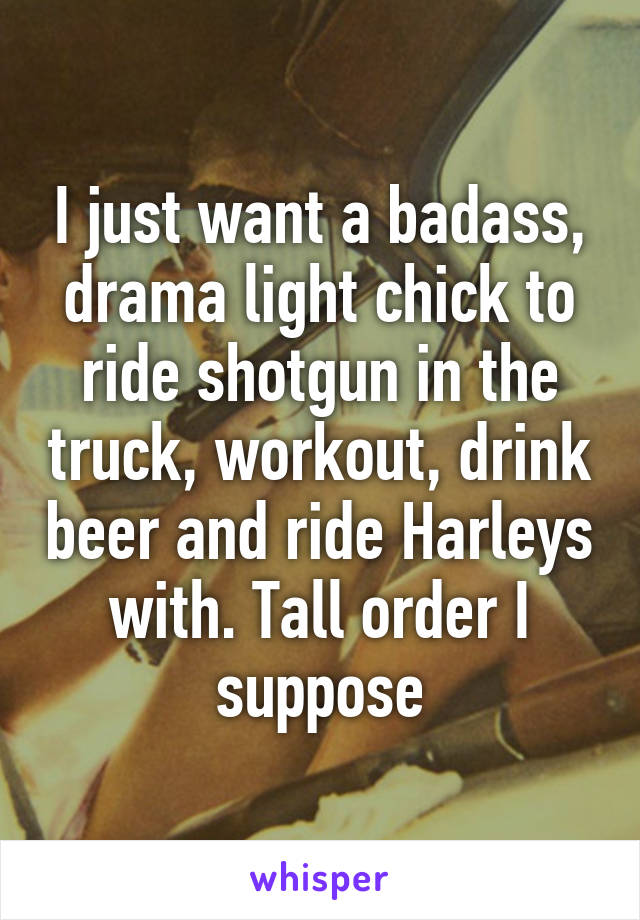 I just want a badass, drama light chick to ride shotgun in the truck, workout, drink beer and ride Harleys with. Tall order I suppose