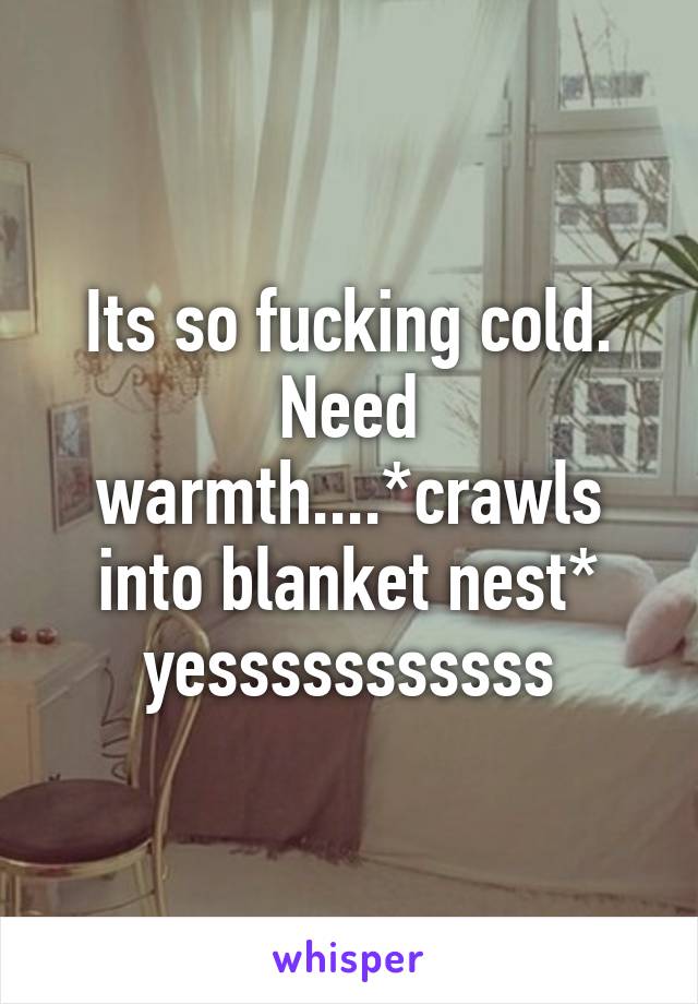 Its so fucking cold. Need warmth....*crawls into blanket nest* yesssssssssss