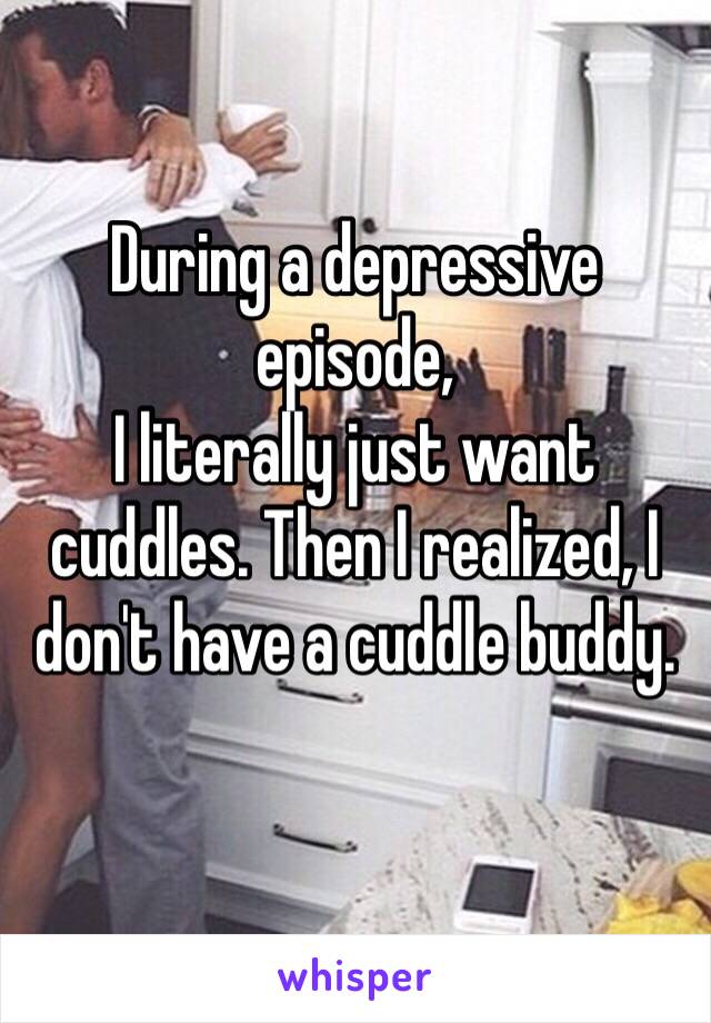 During a depressive episode, 
I literally just want cuddles. Then I realized, I don't have a cuddle buddy. 
