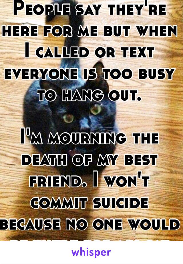 People say they're here for me but when I called or text everyone is too busy to hang out. 

I'm mourning the death of my best friend. I won't commit suicide because no one would be there for my cat 