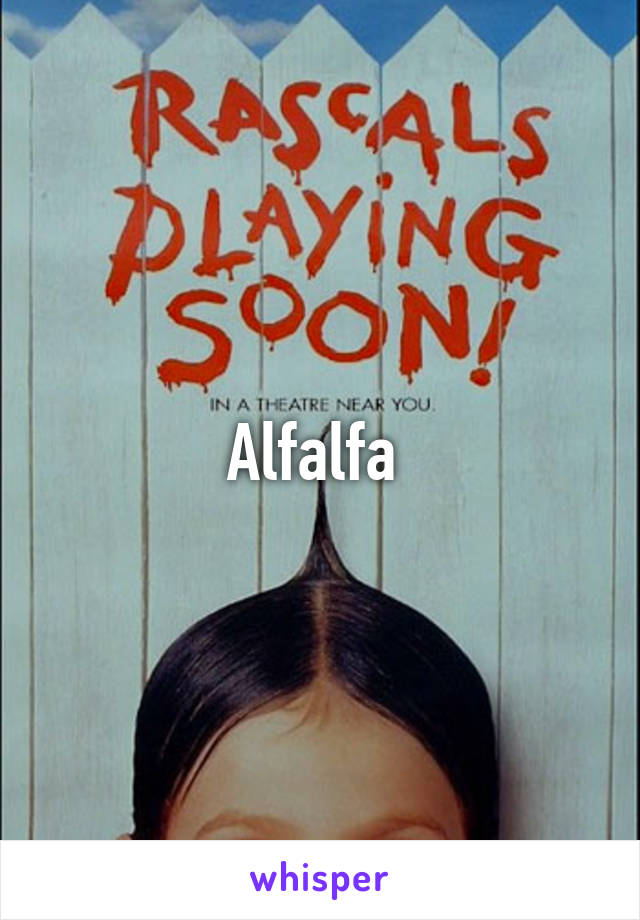 Alfalfa 