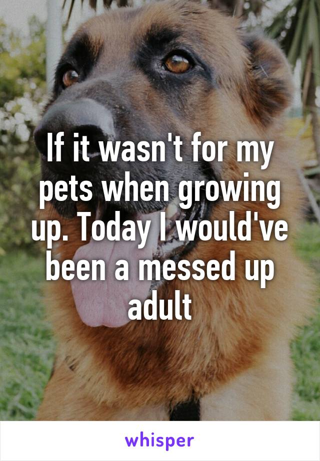 If it wasn't for my pets when growing up. Today I would've been a messed up adult