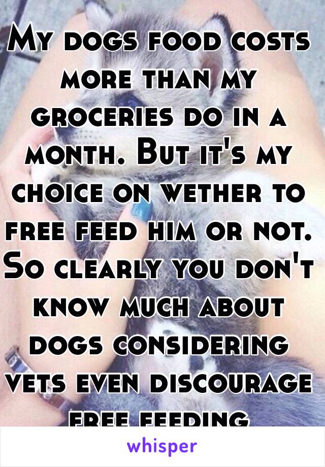 My dogs food costs more than my groceries do in a month. But it's my choice on wether to free feed him or not. So clearly you don't know much about dogs considering vets even discourage free feeding