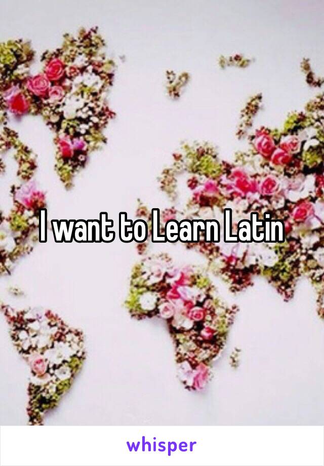 I want to Learn Latin 