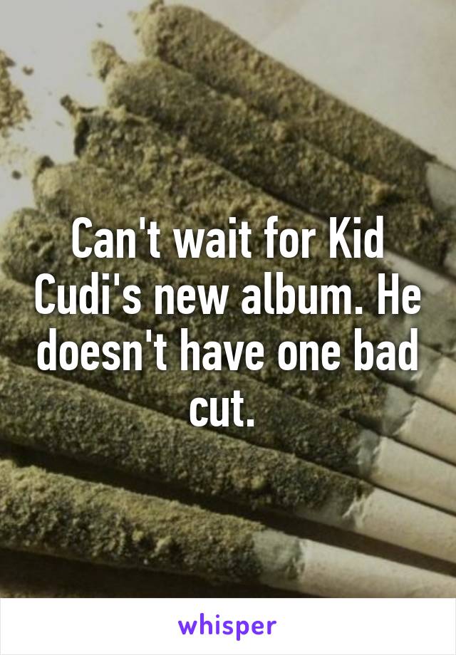 Can't wait for Kid Cudi's new album. He doesn't have one bad cut. 