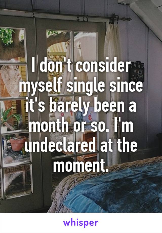 I don't consider myself single since it's barely been a month or so. I'm undeclared at the moment.