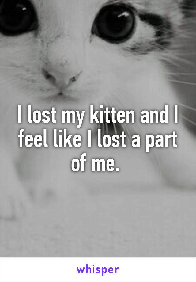 I lost my kitten and I feel like I lost a part of me. 