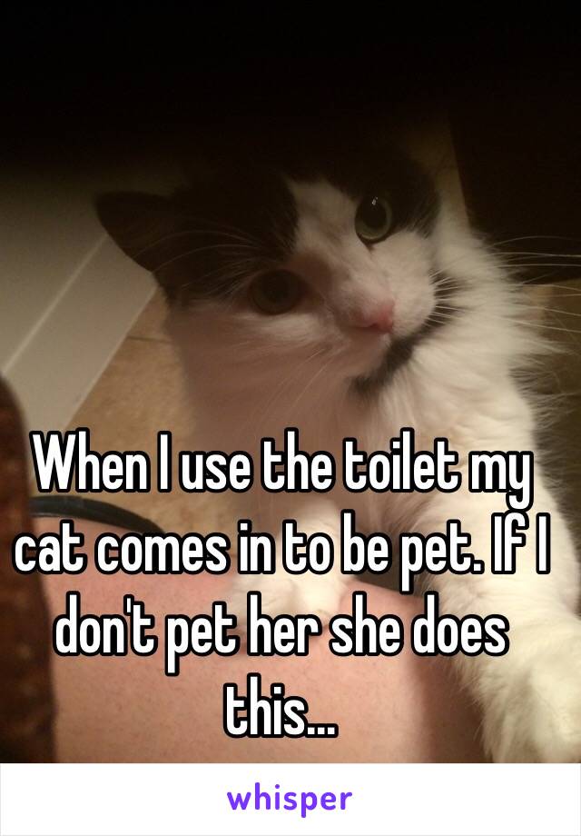 When I use the toilet my cat comes in to be pet. If I don't pet her she does this...