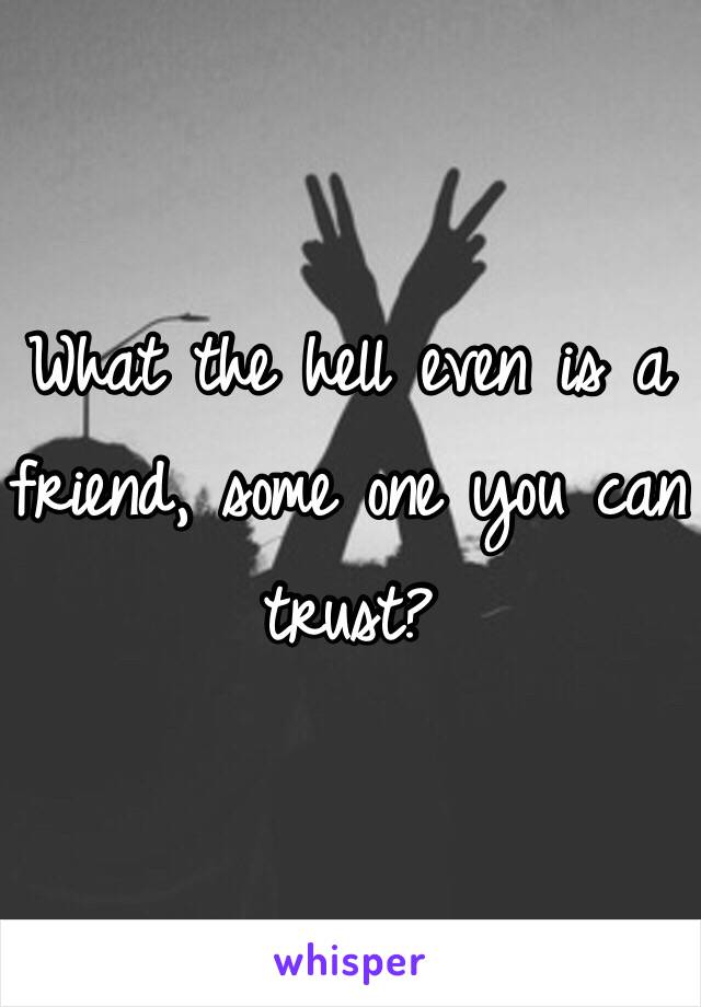 What the hell even is a friend, some one you can trust?