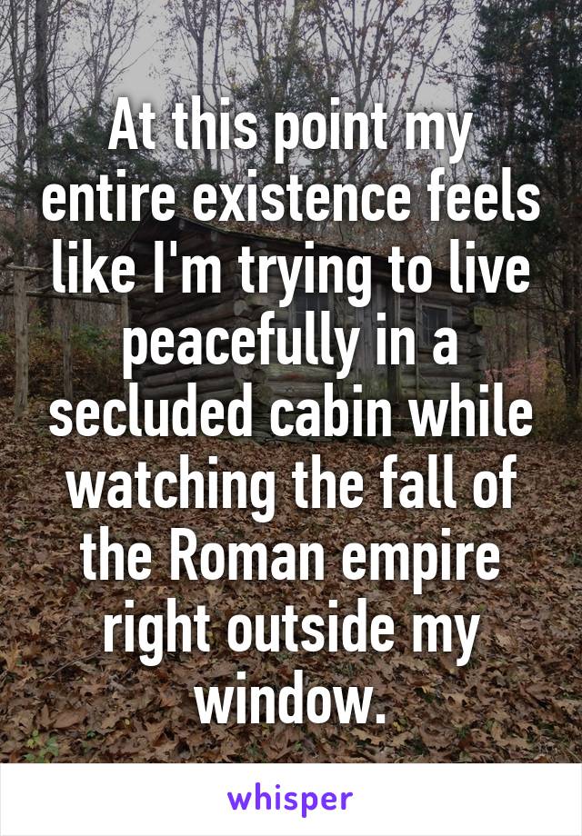 At this point my entire existence feels like I'm trying to live peacefully in a secluded cabin while watching the fall of the Roman empire right outside my window.