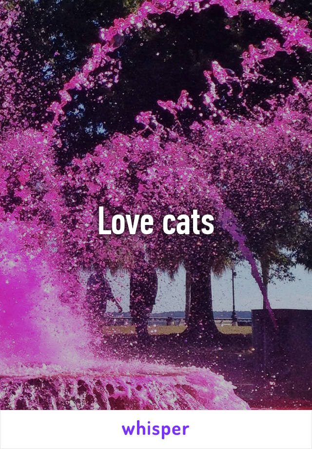 Love cats