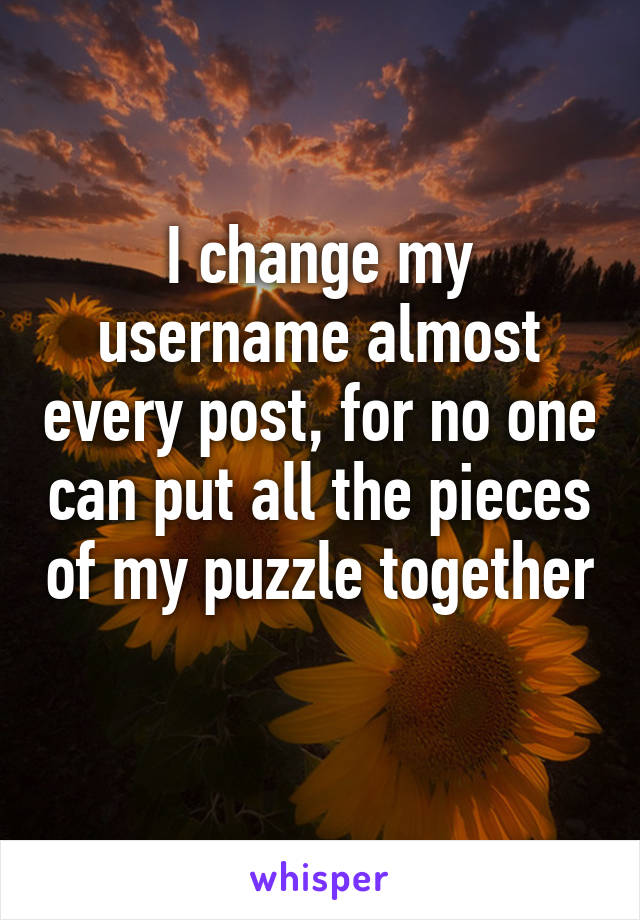 I change my username almost every post, for no one can put all the pieces of my puzzle together 