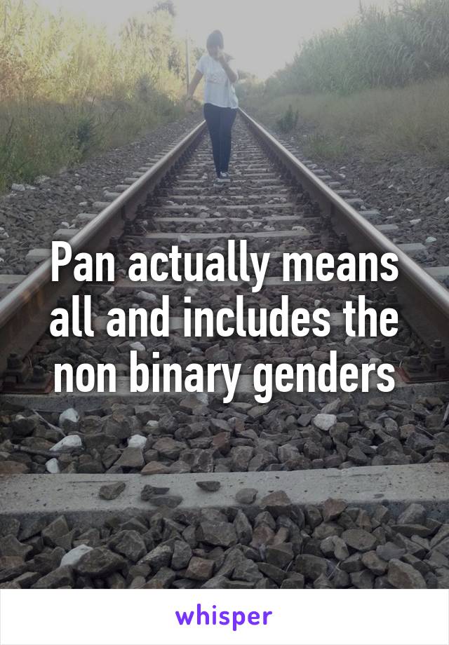 Pan actually means all and includes the non binary genders