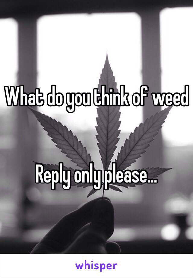 What do you think of weed


Reply only please...