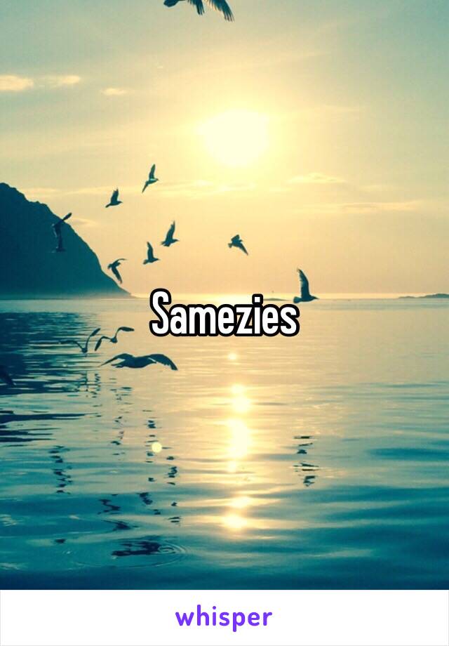 Samezies