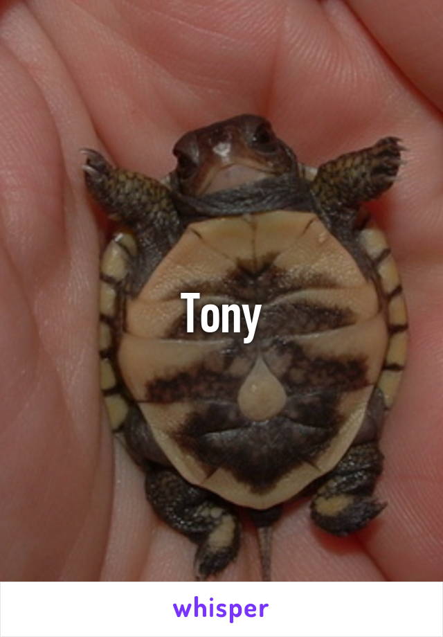 Tony