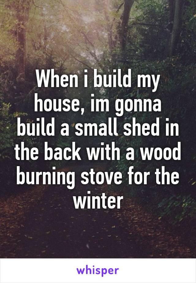 When i build my house, im gonna build a small shed in the back with a wood burning stove for the winter