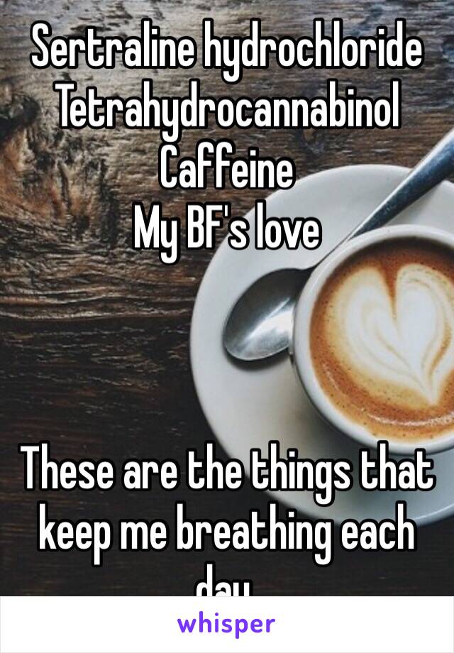 Sertraline hydrochloride
Tetrahydrocannabinol
Caffeine
My BF's love



These are the things that keep me breathing each day.