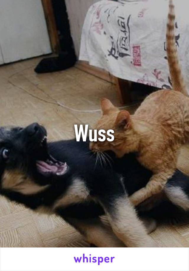 Wuss