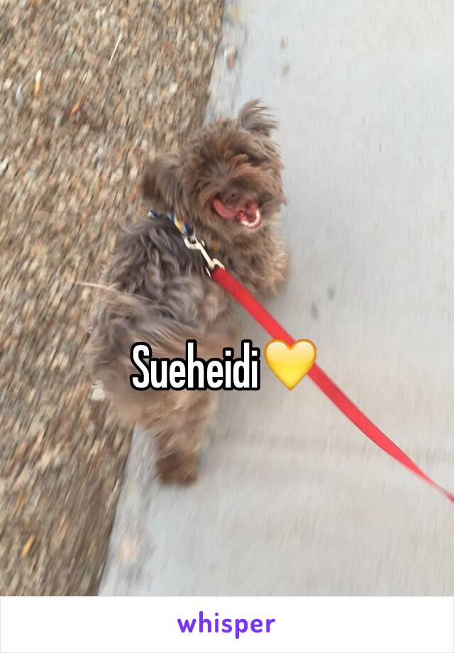 Sueheidi💛